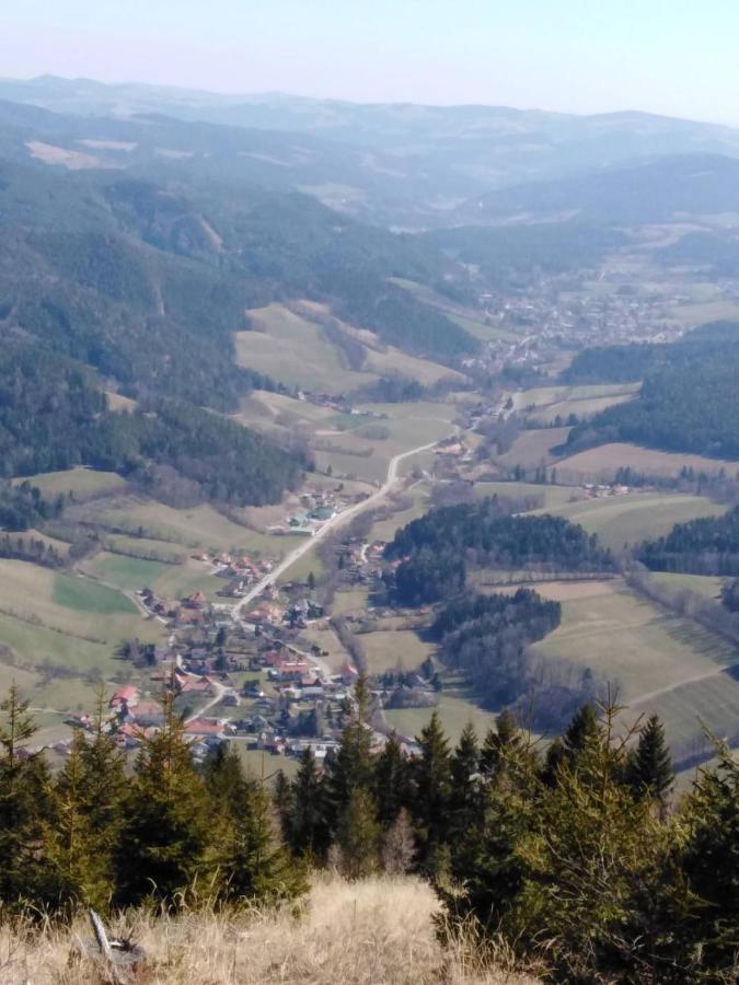 Ferienhaus Bauer Wohnung 2 Trattenbach  Exteriör bild