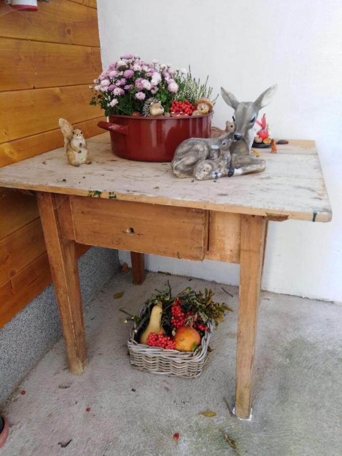 Ferienhaus Bauer Wohnung 2 Trattenbach  Exteriör bild